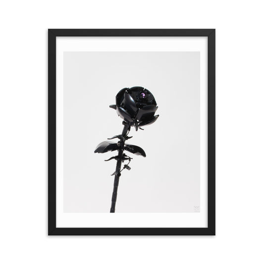 Black Rose - Framed brickdistorted Print