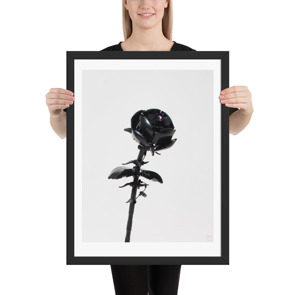 Black Rose - Framed brickdistorted Print