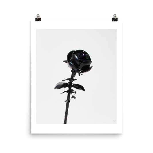 Black Rose - brickdistorted Print